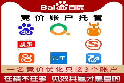 专业SEM托管服务，案例解读SEO优化策略